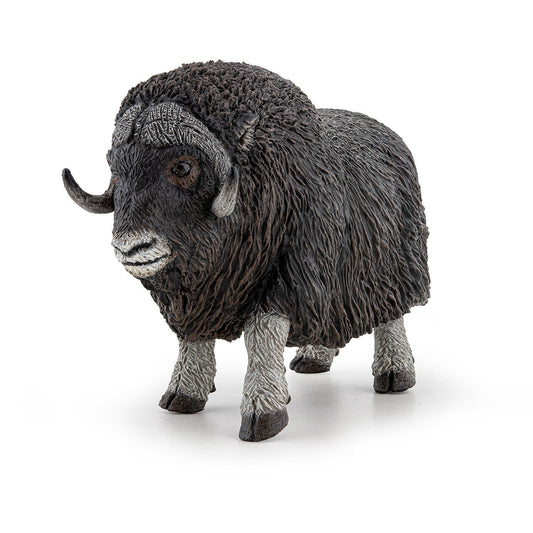 Figurine Bœuf musqué Papo - animal sauvage