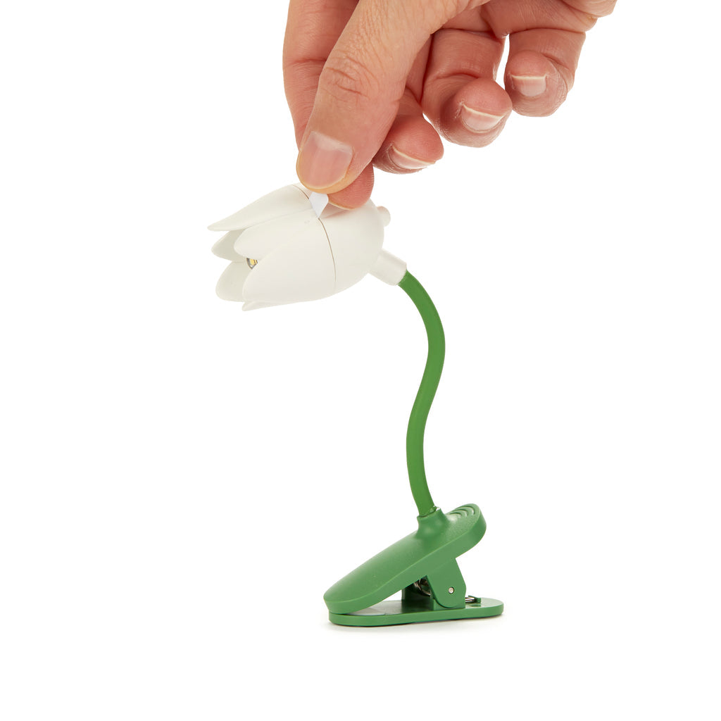 Lumiere de lecture Tulipe