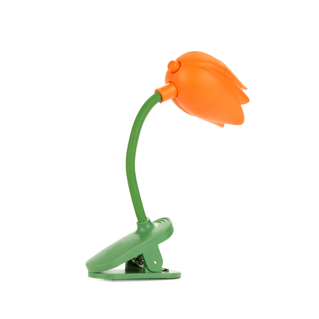 Lumiere de lecture Tulipe