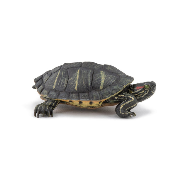 Figurine Tortue de Floride Papo - animal sauvage