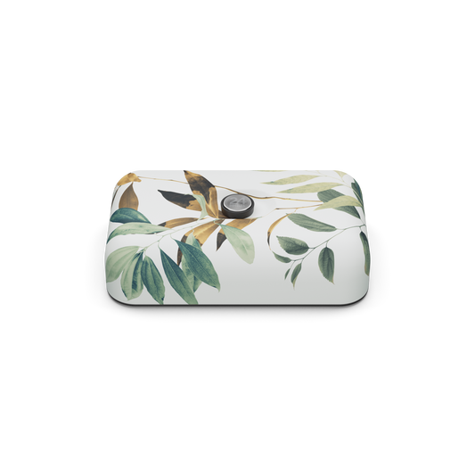 Lunch box | Tivoli