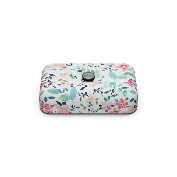 Lunchbox | Little Buds