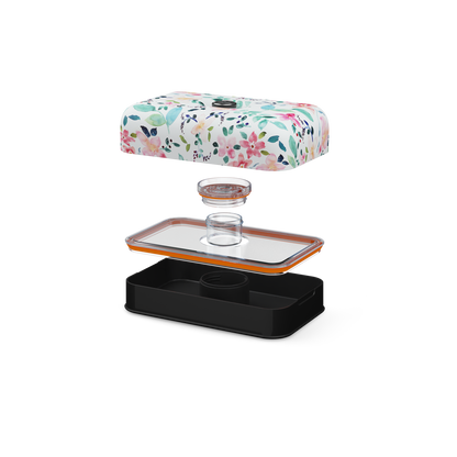Lunch box | Little Buds