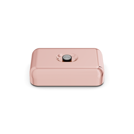 Lunch Box | Rose Gold