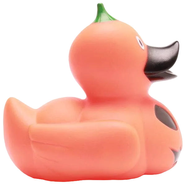 Halloween Pumpkin Duck