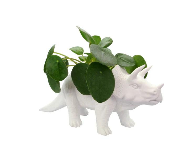 Flower jar Dinosaur tricerapot