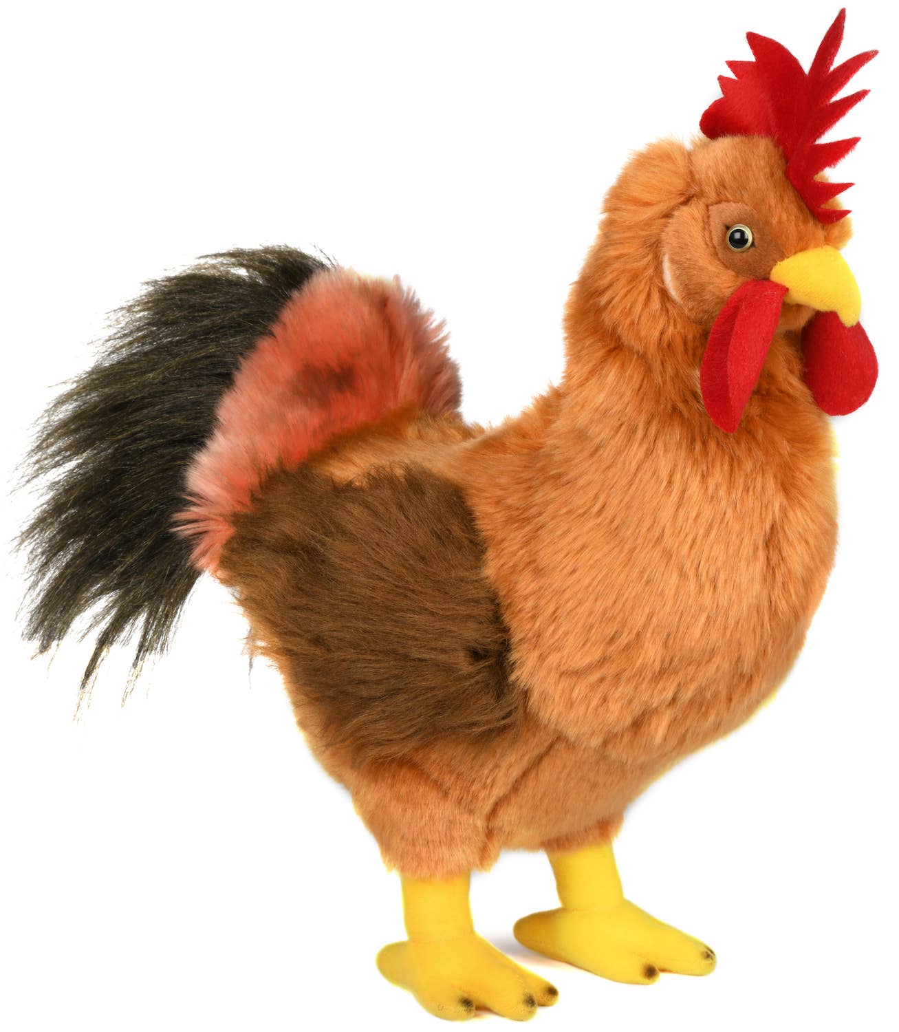 Rooster