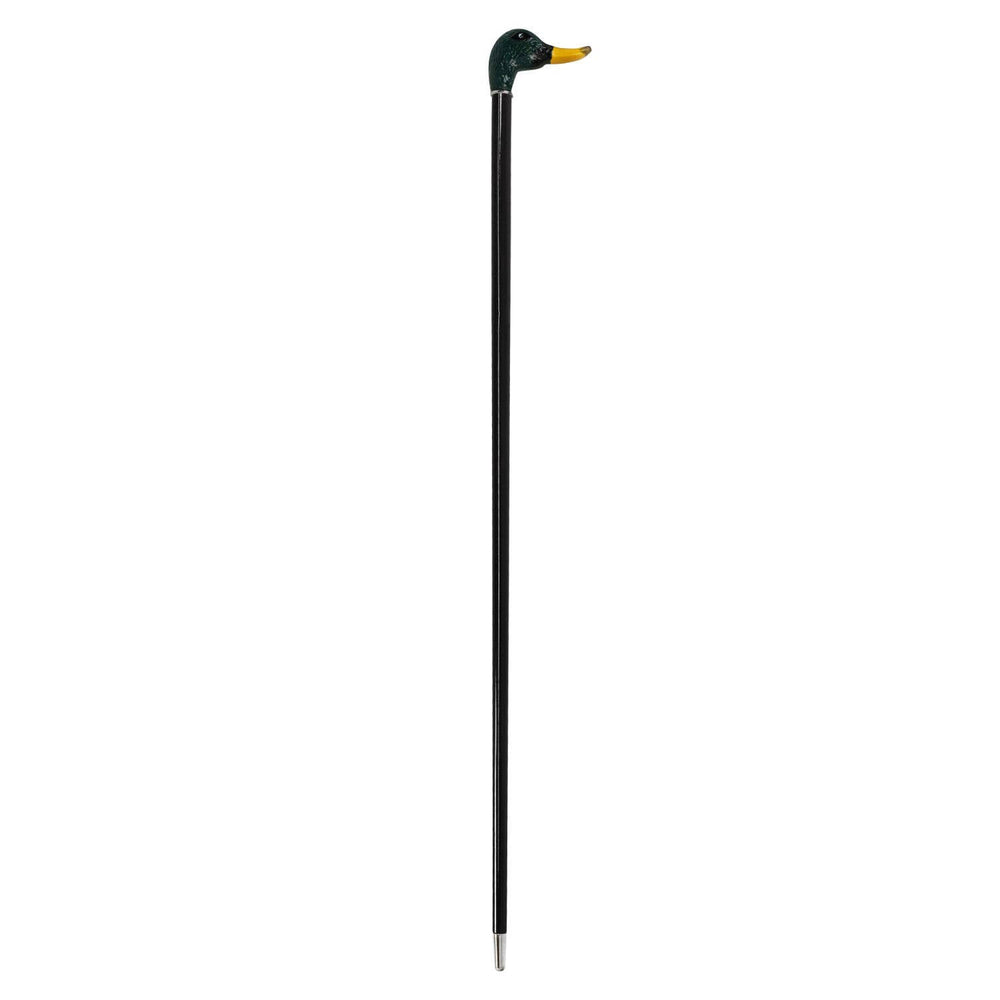 Canne Canard Colvert