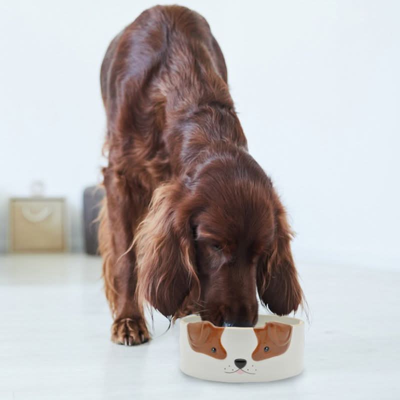 Gamelle Chien