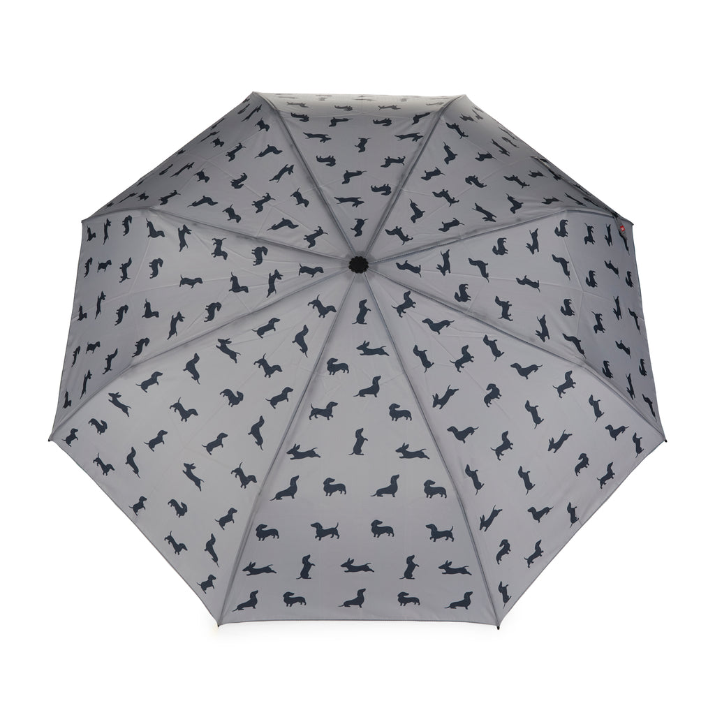 Parapluie Teckel
