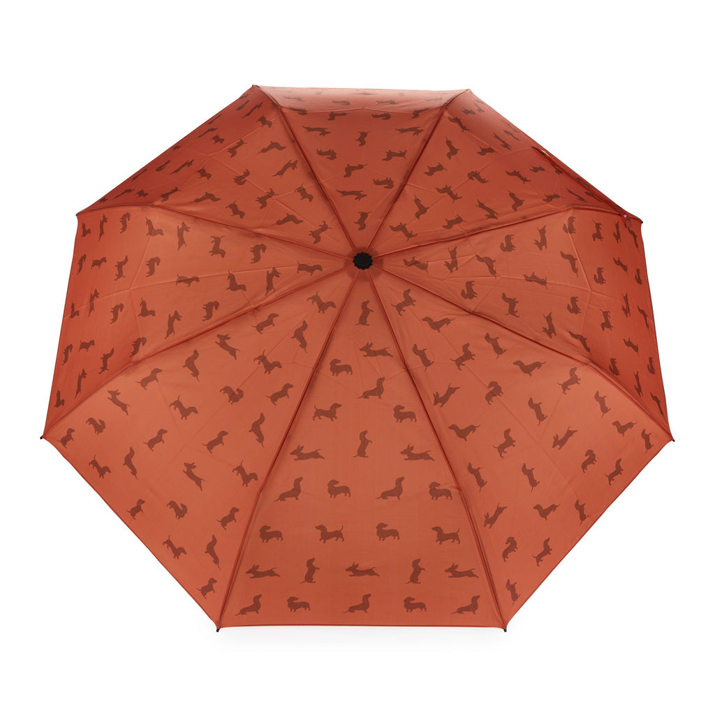Parapluie Teckel
