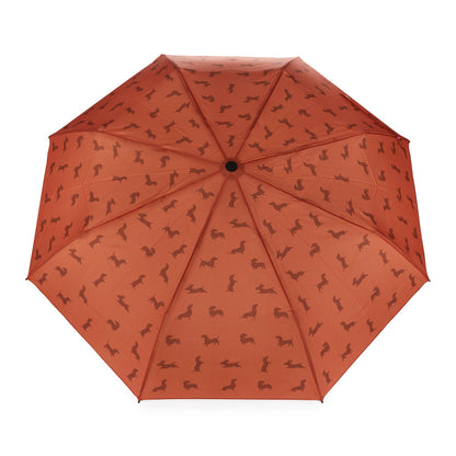 Parapluie Teckel