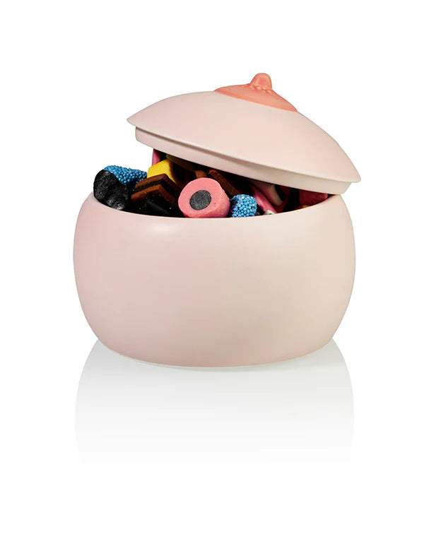 Pentola per il petto con coperchio