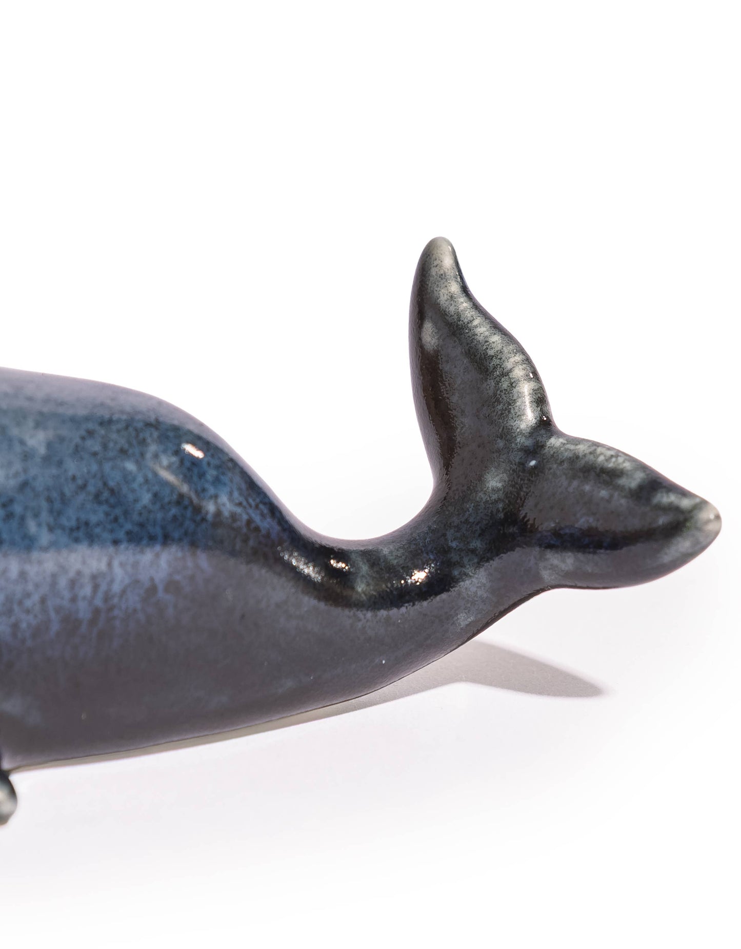 Salt and pepper Blue whale