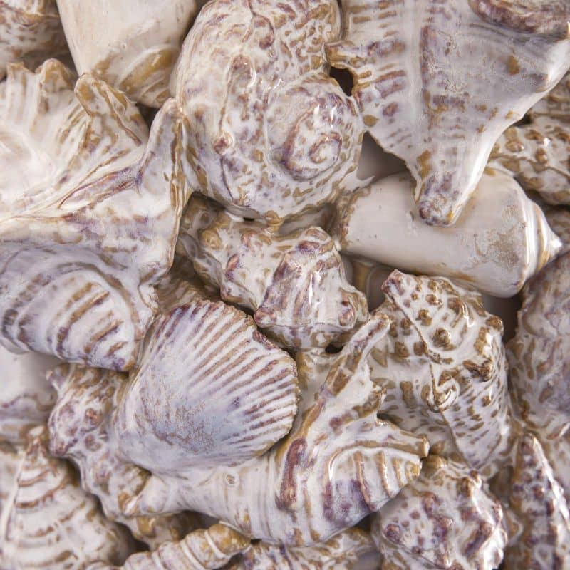 Seashell Vase, Natural Stoneware L