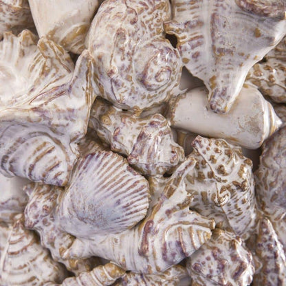 Seashell Vase, Natural Stoneware L