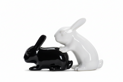Naughty Bunnies Salt and Pepper Shakers