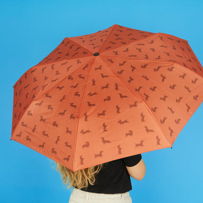 Parapluie Teckel