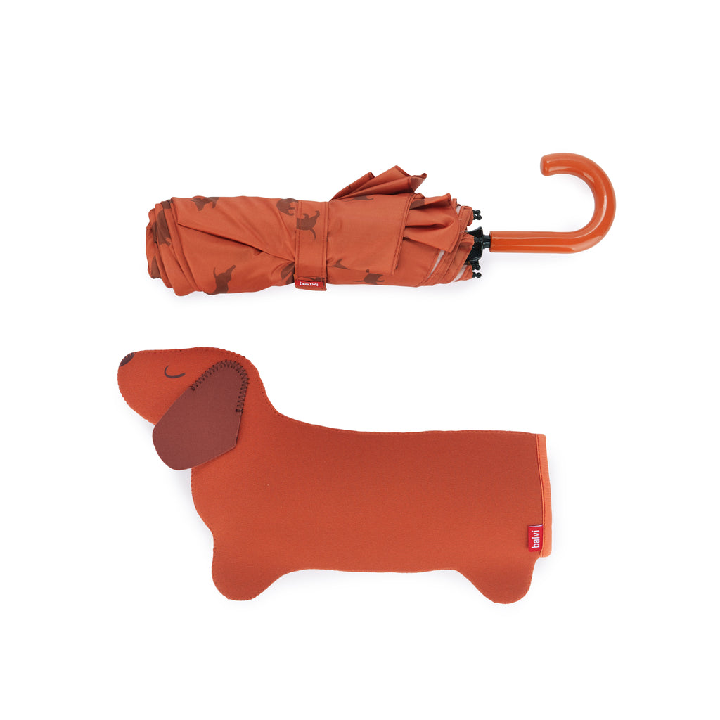 Dachshund Umbrella