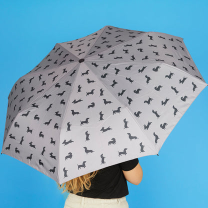 Dachshund Umbrella