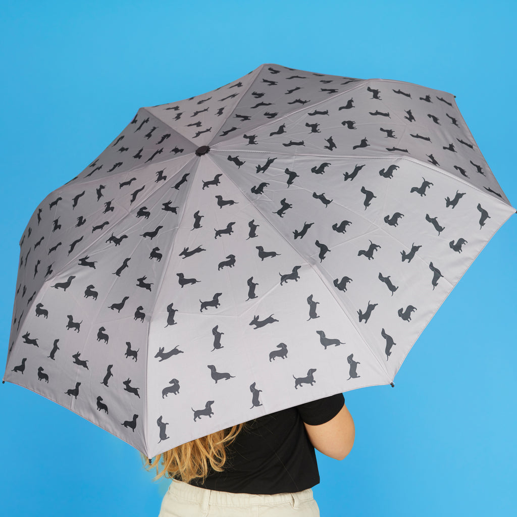 Parapluie Teckel
