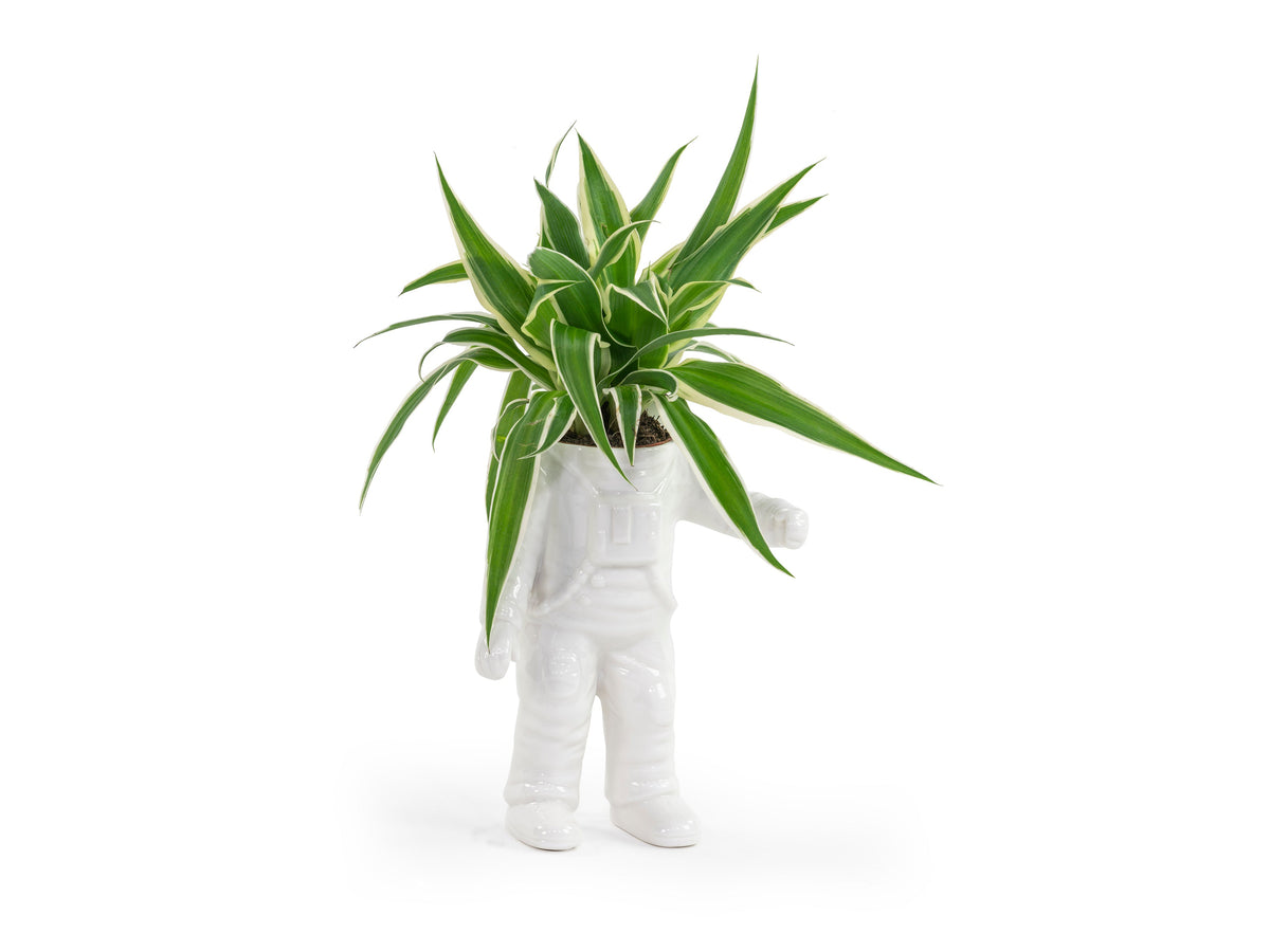 Pot de Fleur Astronaute – Petit