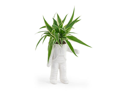 Pot de Fleur Astronaute – Petit