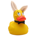 Canard Bunny