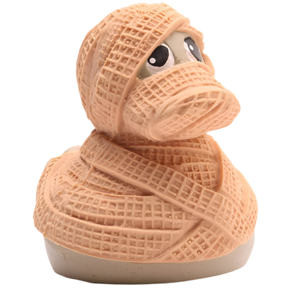 Canard Momie