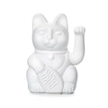 Gatto bianco fortunato