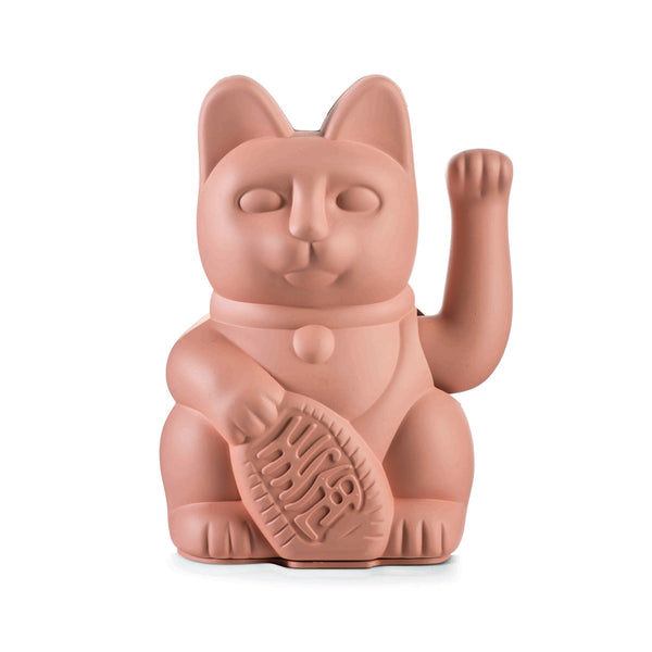 Lucky pink cat