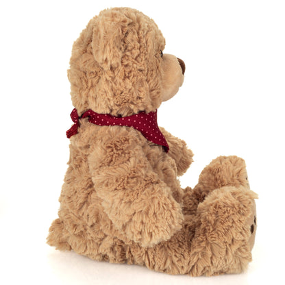 Teddy Curtis plush toy with scarf