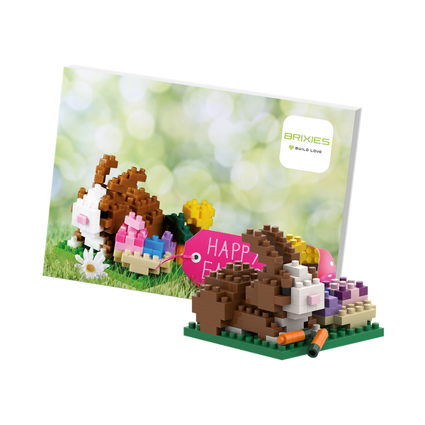 BRIXIES Easter Bunny Postcard
