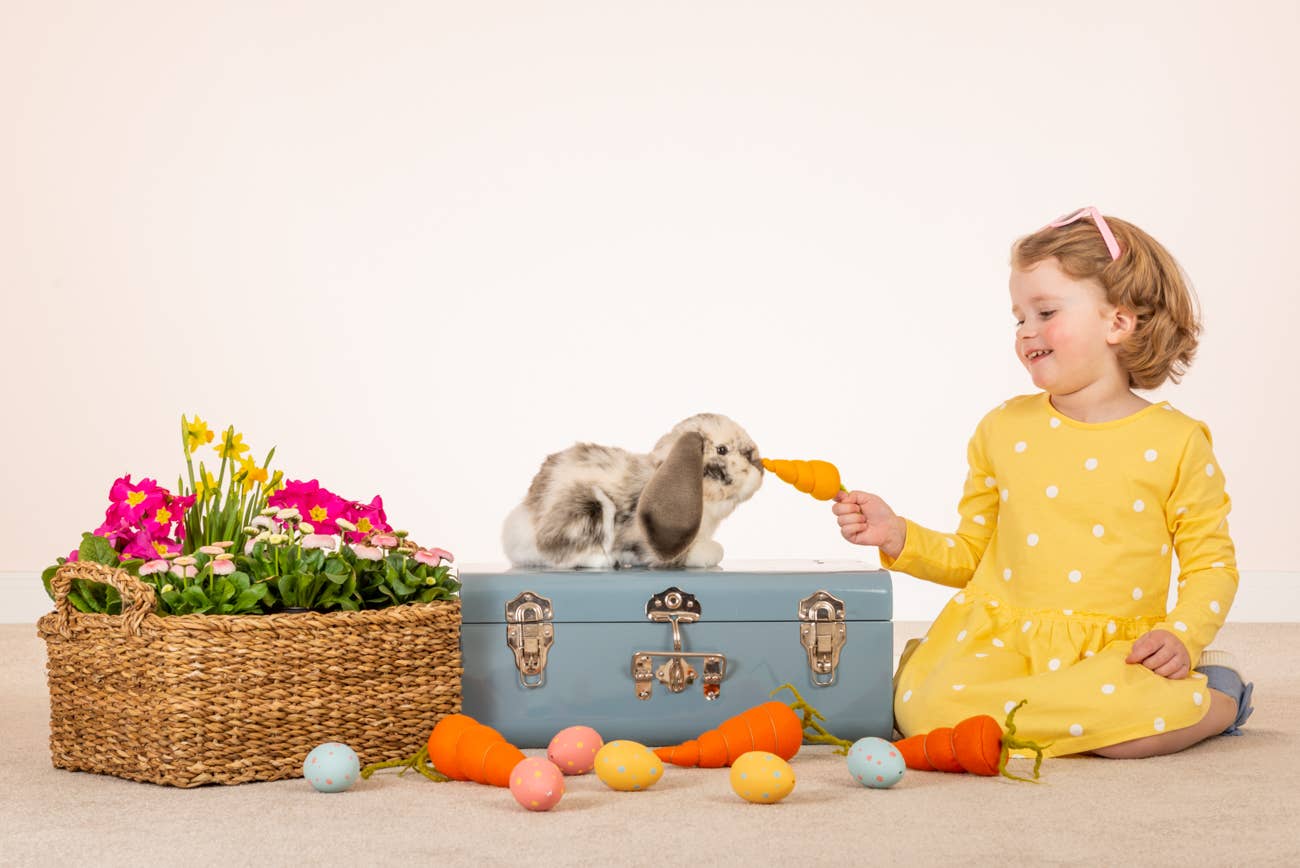 Peluche Lapin Bélier gris et blanc