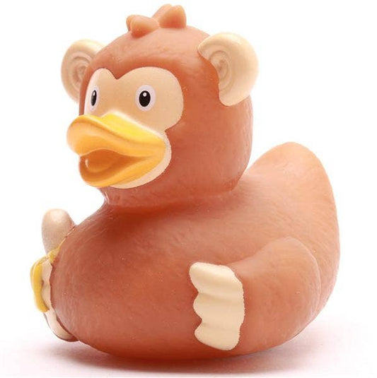 Canard singe