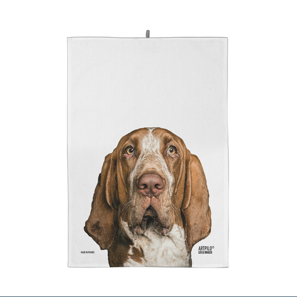 Dishcloth Leo the Bracco