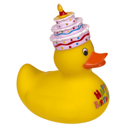 Canard Jaune Anniversaire – vue 5