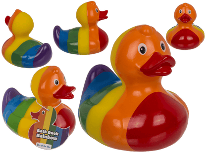 Canard arc-en-ciel – vue 2