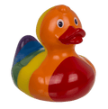 Canard Arc-en-ciel