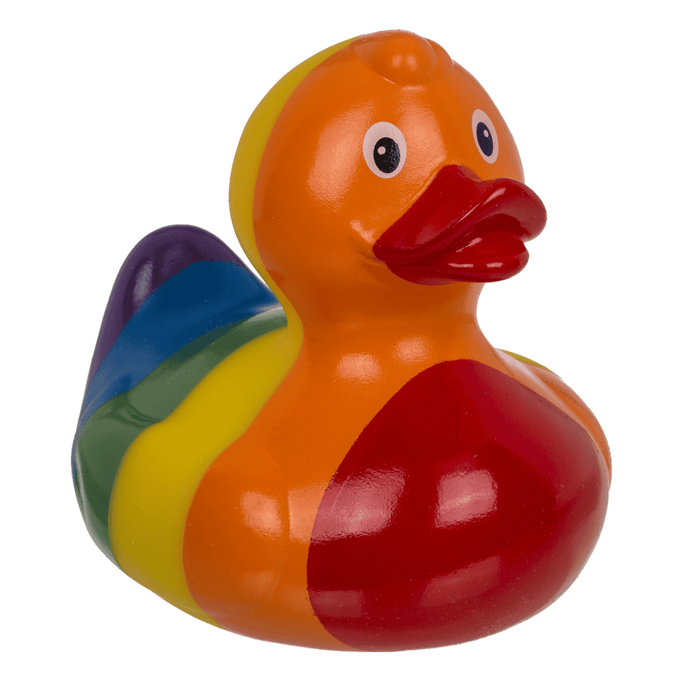 Canard arc-en-ciel – vue 4