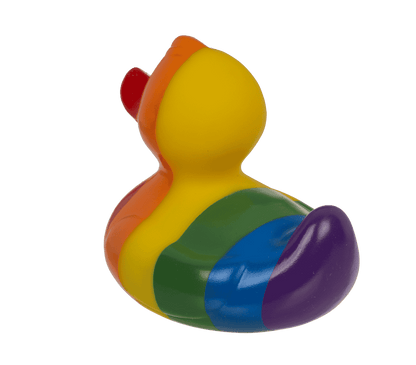 Canard arc-en-ciel – vue 6