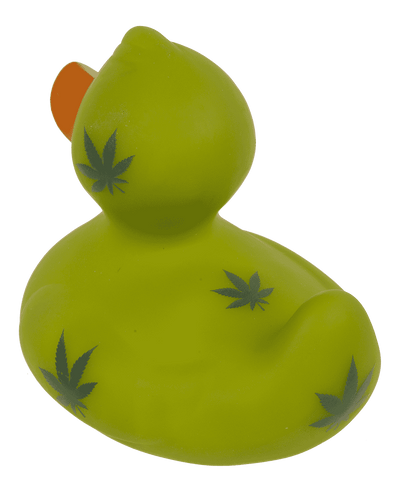 Canard Cannabis – vue 8