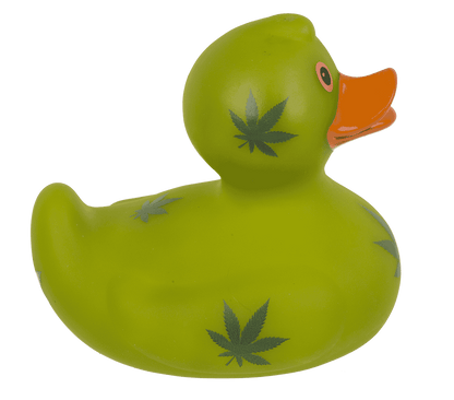 Canard Cannabis – vue 9
