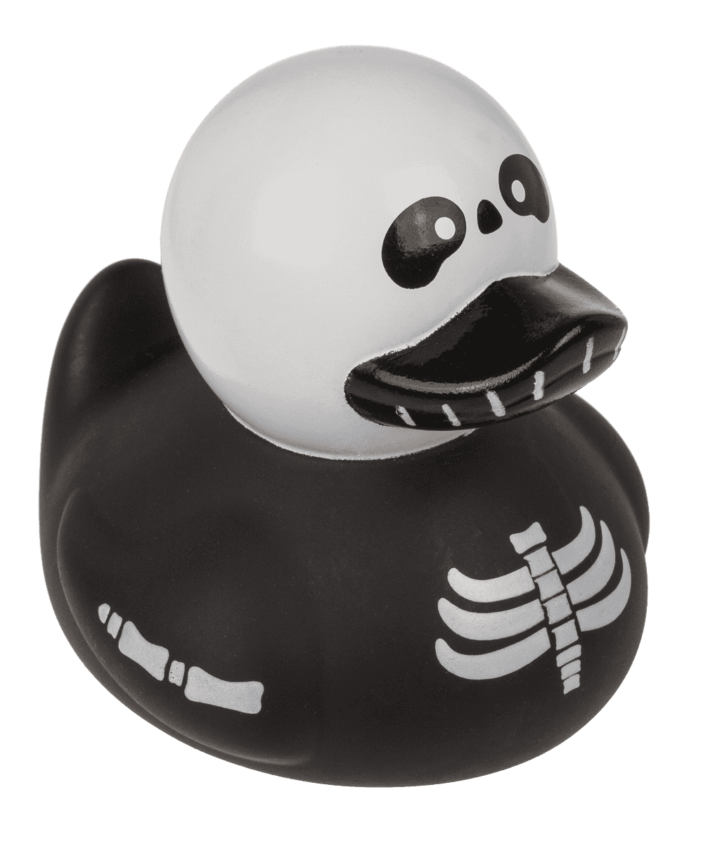Canard Squelette – vue 14