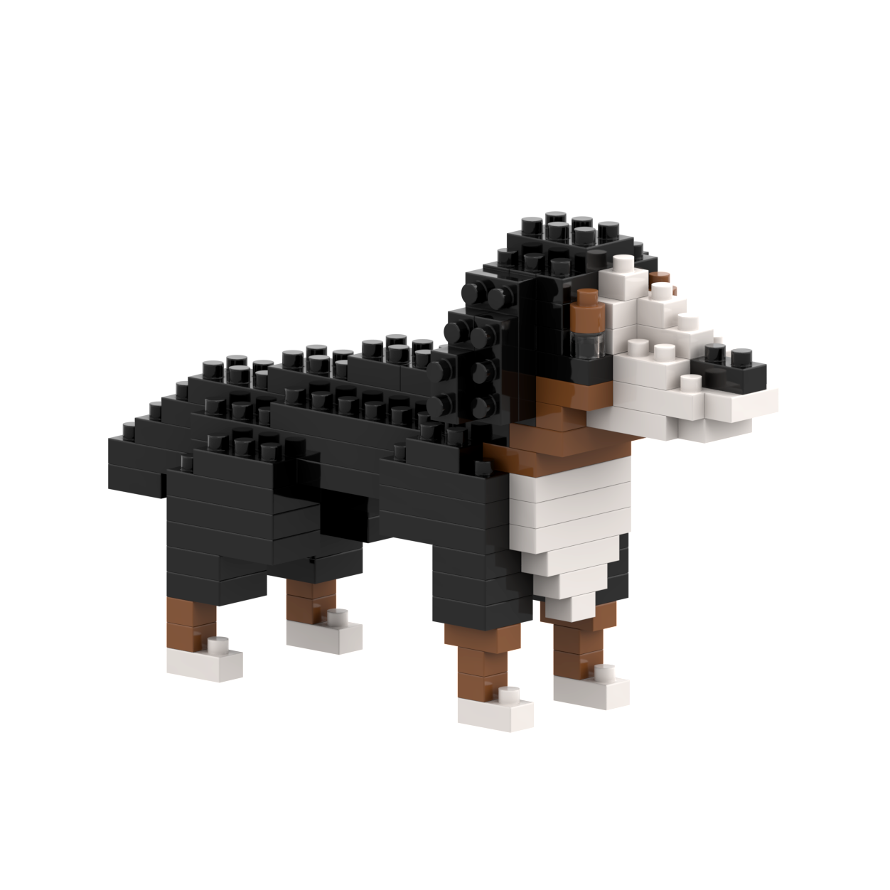 BRIXIES St. Bernard