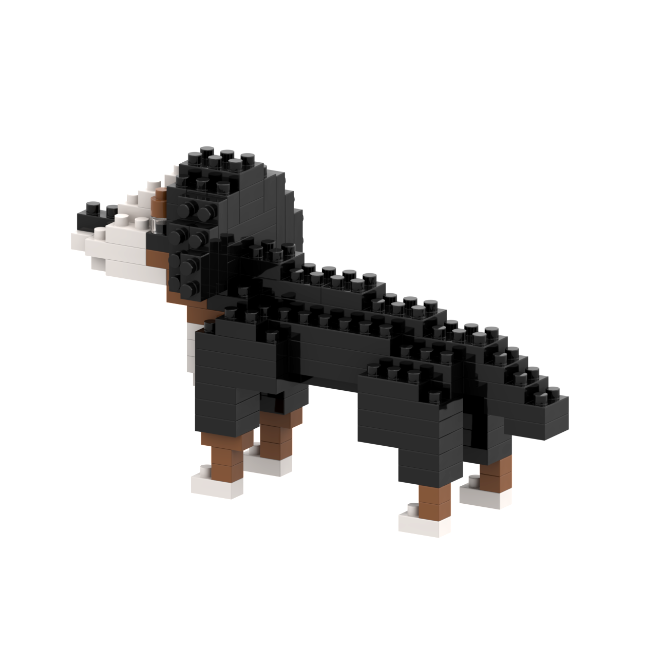 BRIXIES St. Bernard