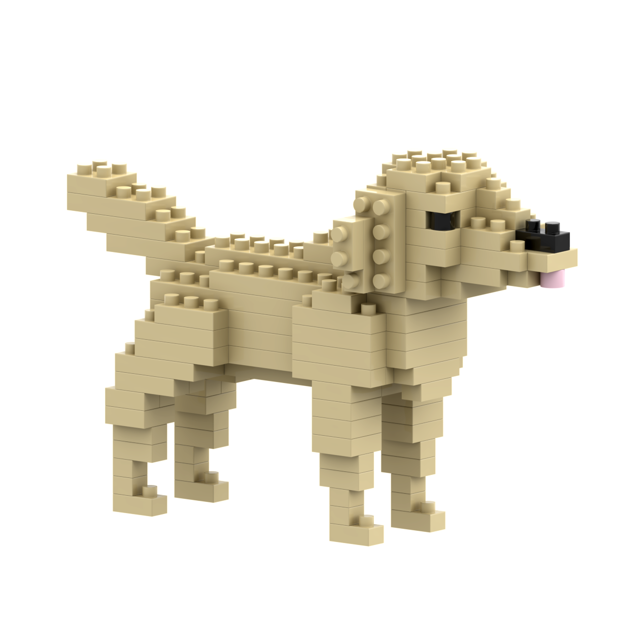 BRIXIES Golden Retriever
