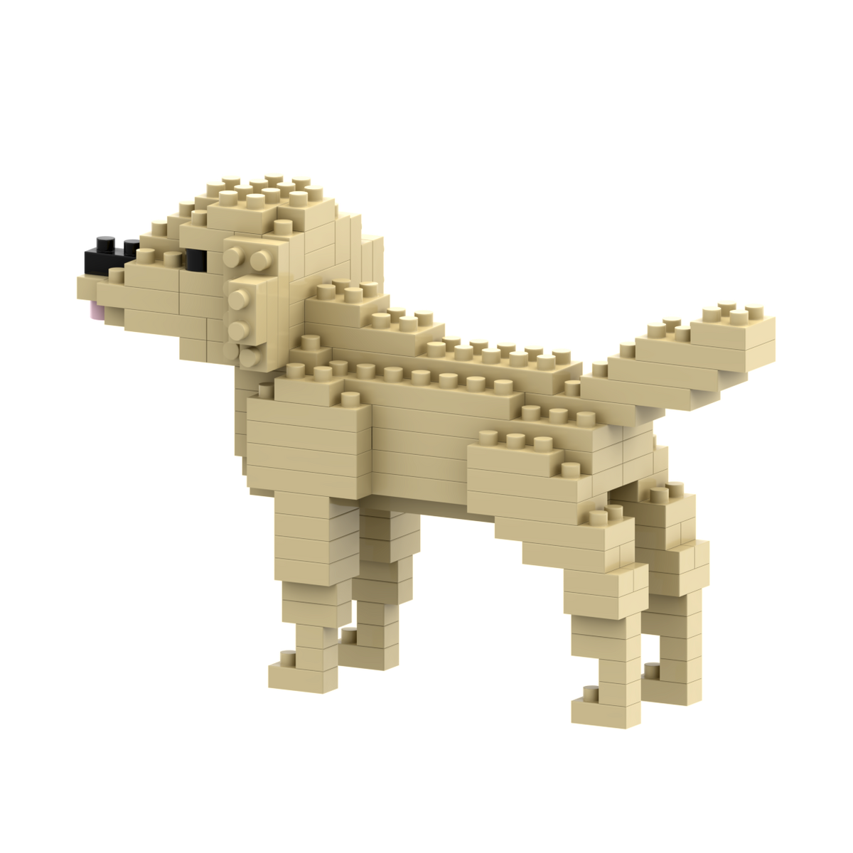 BRIXIES Golden Retriever