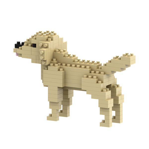 BRIXIES Golden Retriever
