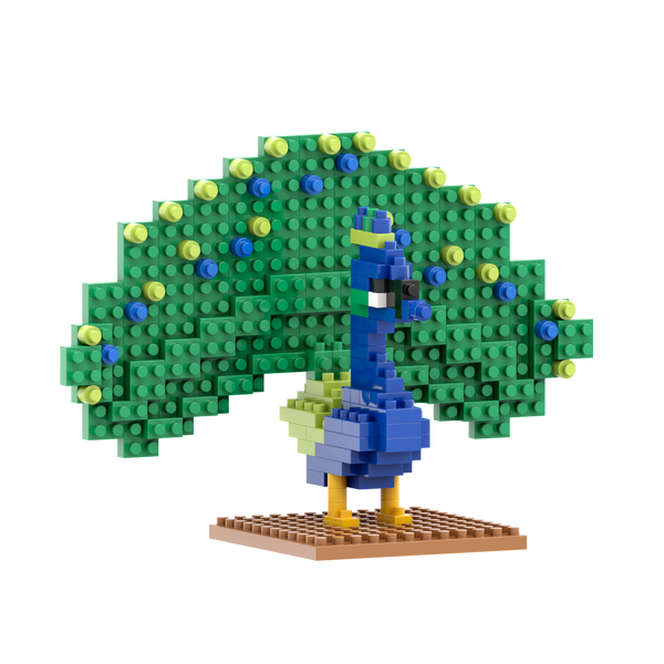 BRIXIES Peacock